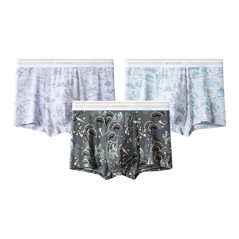 ROBINHOOD Underpants Men's 3 Pack-10