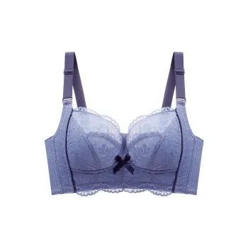 Lanza Women's Bras