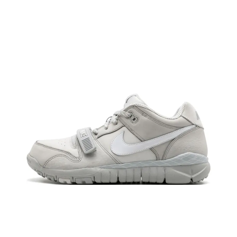 Nike Trainer Dunk Low Neutral Grey-0