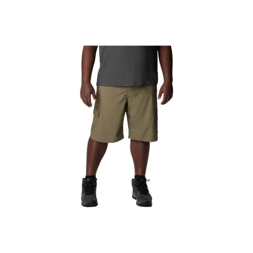 Columbia Silver Ridge Cargo Shorts Men Stone Green