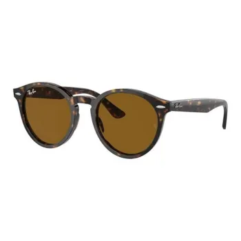 Ray-Ban Larry Oval-frame Sunglasses