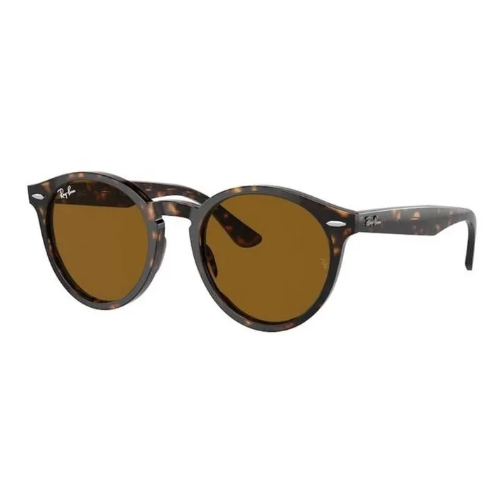 Ray-Ban Larry Oval-frame Sunglasses-0