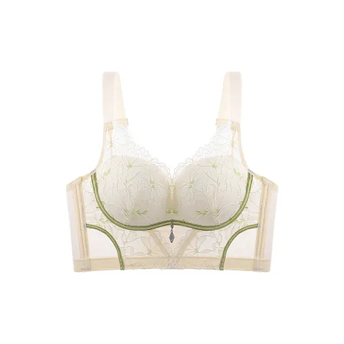 2323 Women's Bras