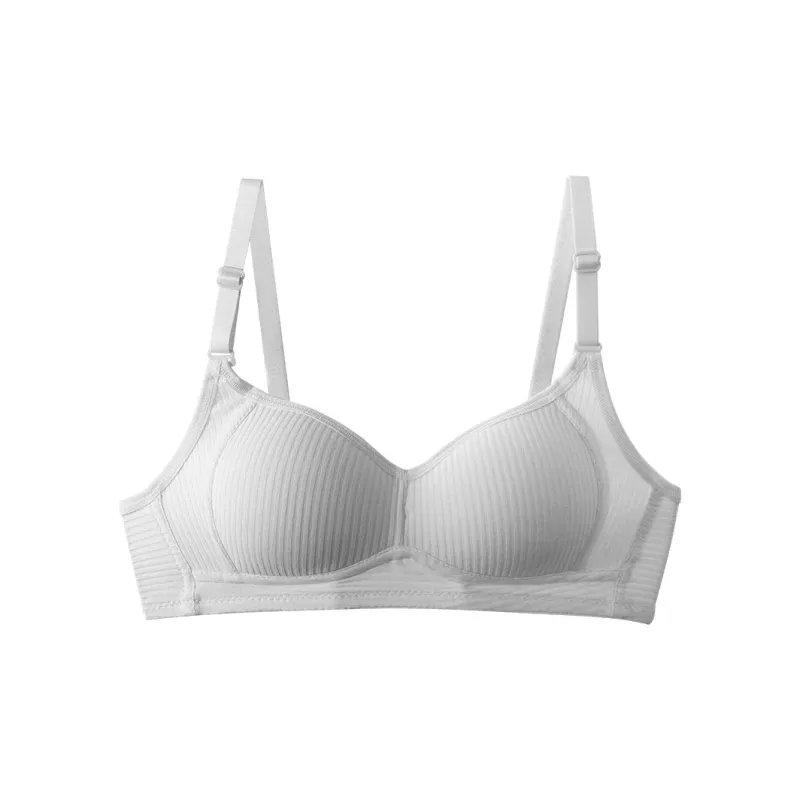 Lanza Women's Bras-19