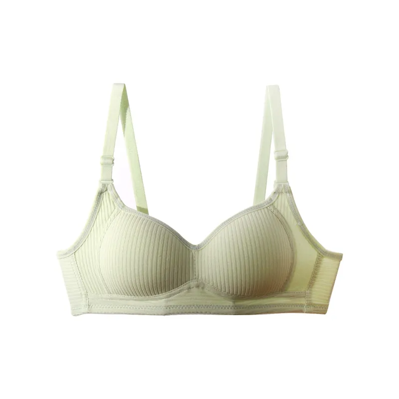 Lanza Women's Bras-18
