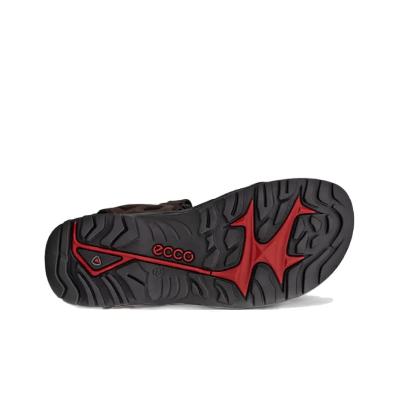 Ecco Beach Sandals Men-4