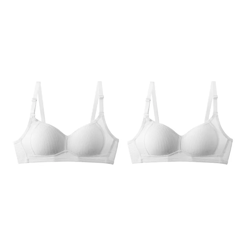 Lanza Women's Bras-2