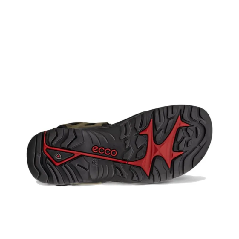 Ecco Beach Sandals Men-4
