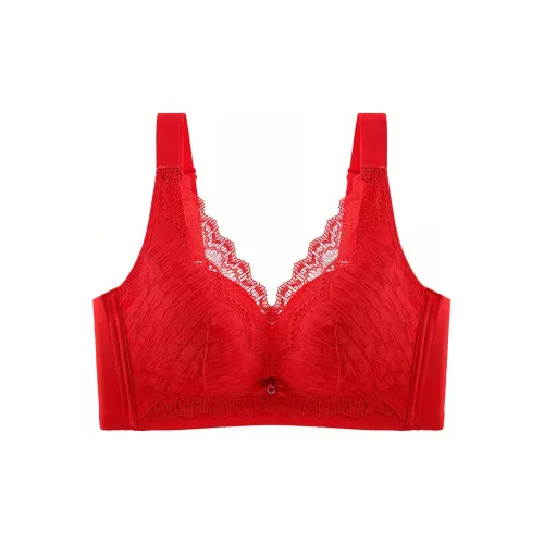 Lanza Women's Bras