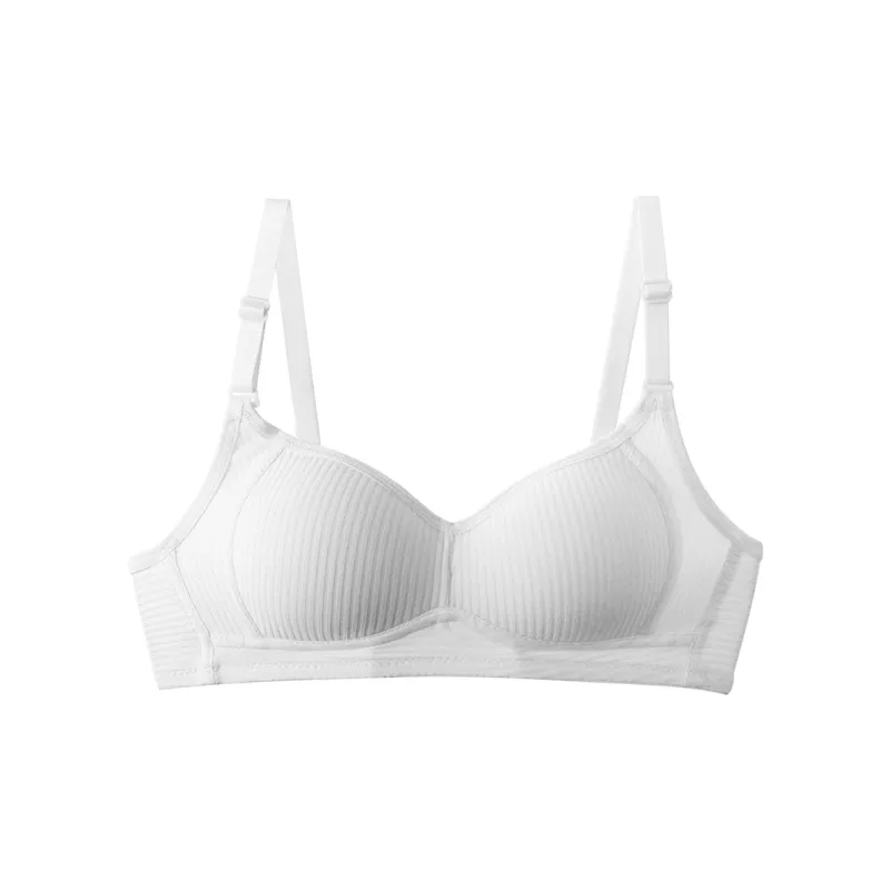 Lanza Women's Bras-15