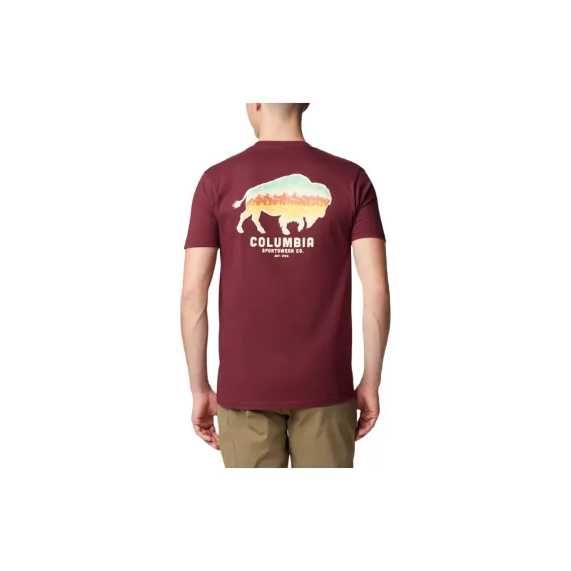 Columbia Pine Canyon T Shirts Men Red-1