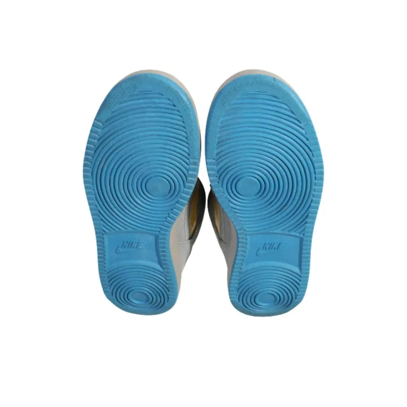 Nike Sb Zoom Team Edition Barcelona-4