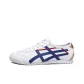 Canvas Style White Violet