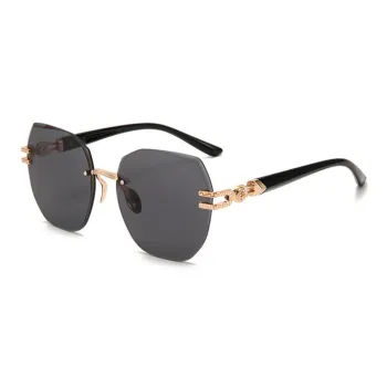 EQUIPMENTELEGANT Irregular Shape Sunglasses Unisex