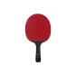 Arthur E9 Star Shakehand Grip Long Handle