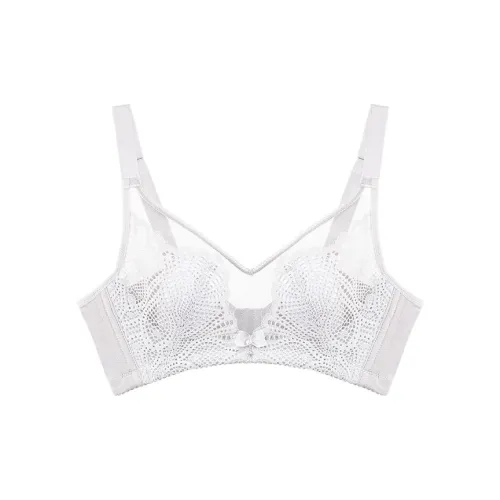 Lanza Women's Bras