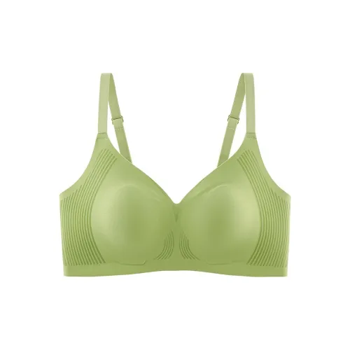 Lanza Women's Bras