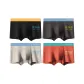 Black+Dark Gray+Light Apricot+Brick Red