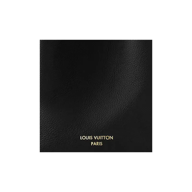 LOUIS VUITTON Low Key Hobo Pm Black-3