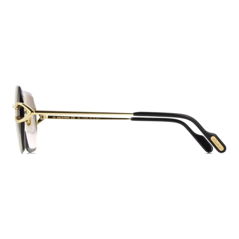 Cartier Signature C De Cartier Geometric frame Sunglasses-1
