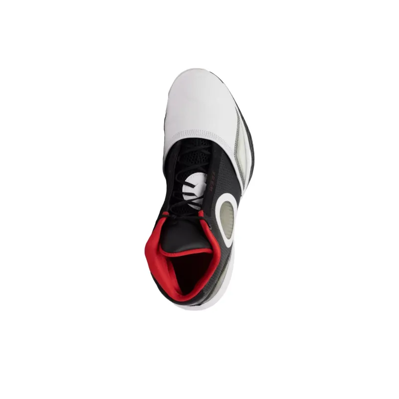 Jordan 2010 Dwyane Wade-2