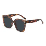 Tortoiseshell Frame with Black and Grey Lenses