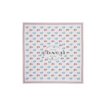 COACH Silk Scarves Women's Multicolor