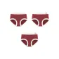 3 Pack (Lucky+Wealth+Auspicious)