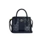 Bag+Dust Bag