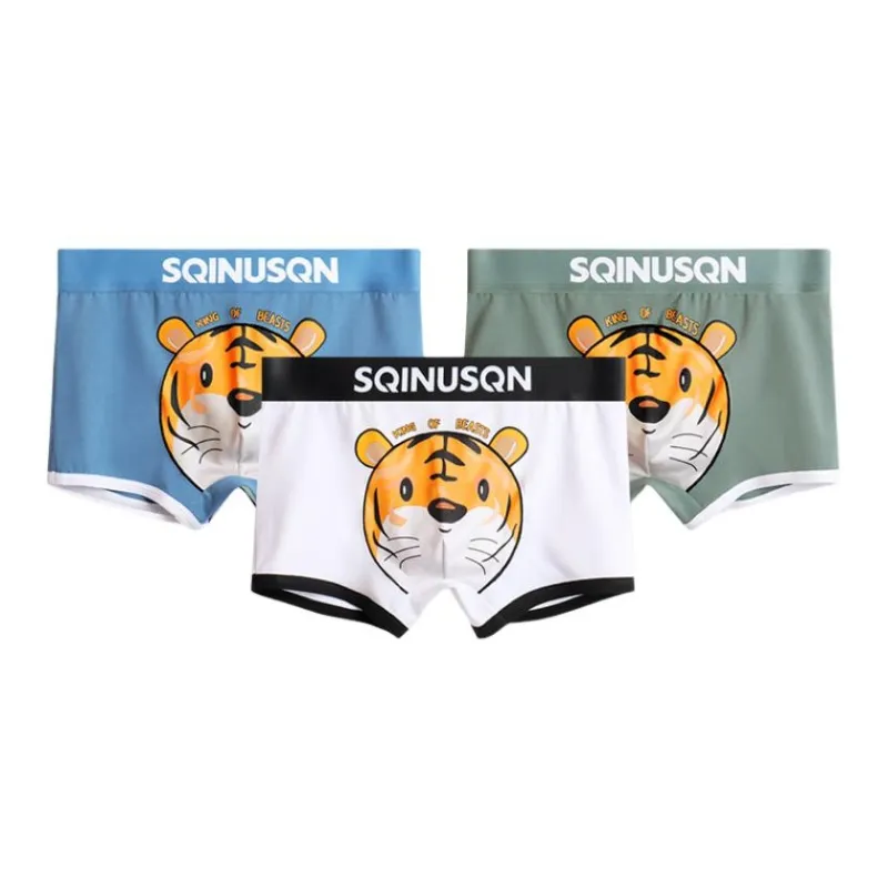 Sicily Men Underpants-14