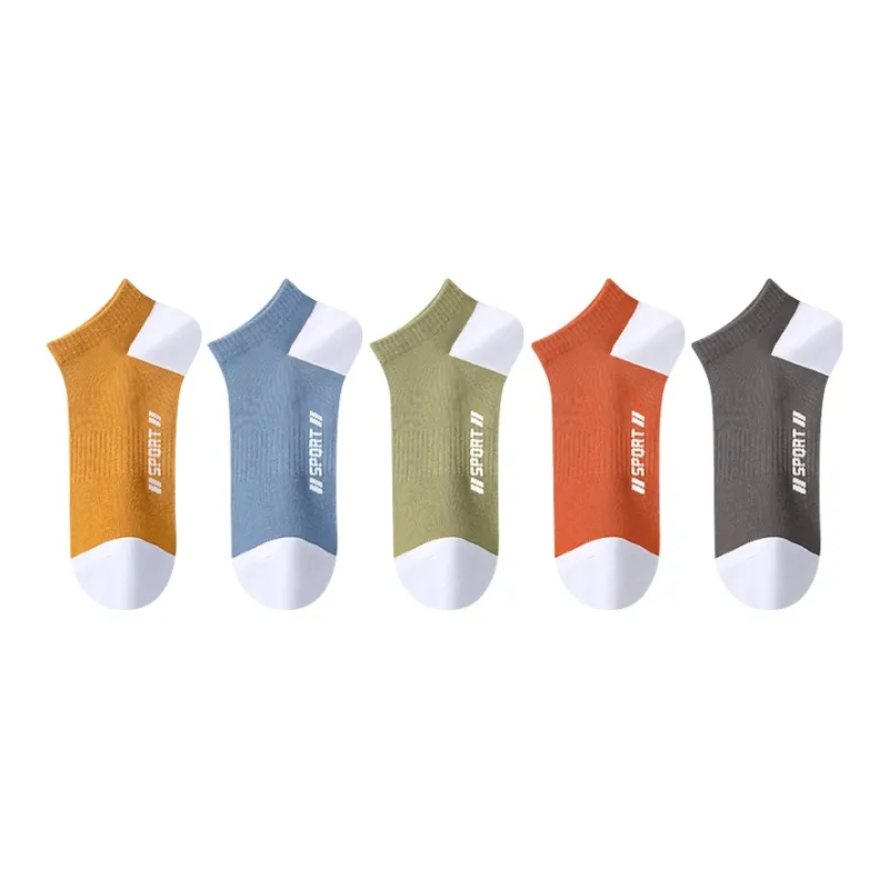 Lanza Men Socks-0