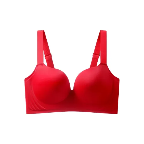 Lanza Women's Bras