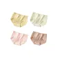 4 Pack[Yellow+Green+Pink+Khaki]