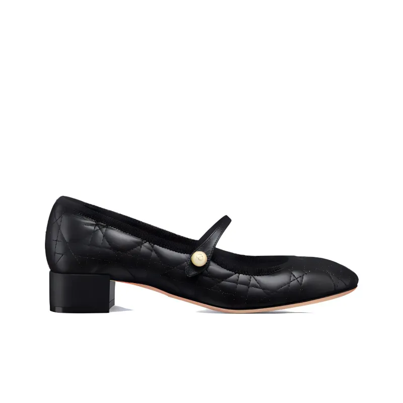 DIOR Chunky Heel Mary Jane Shoes Women's Black-1