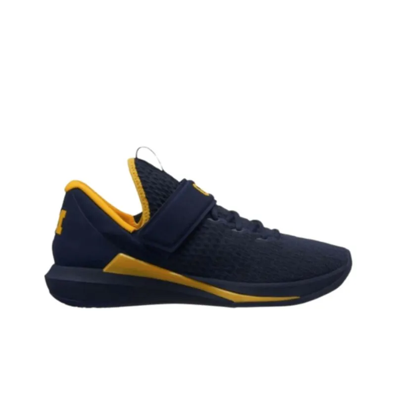 Jordan Trainer Michigan Wolverines-1
