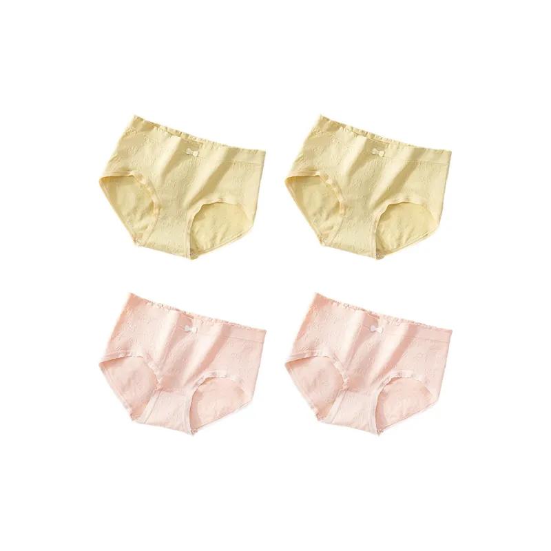PLANDOO Underpants Women's 4 Pack-19