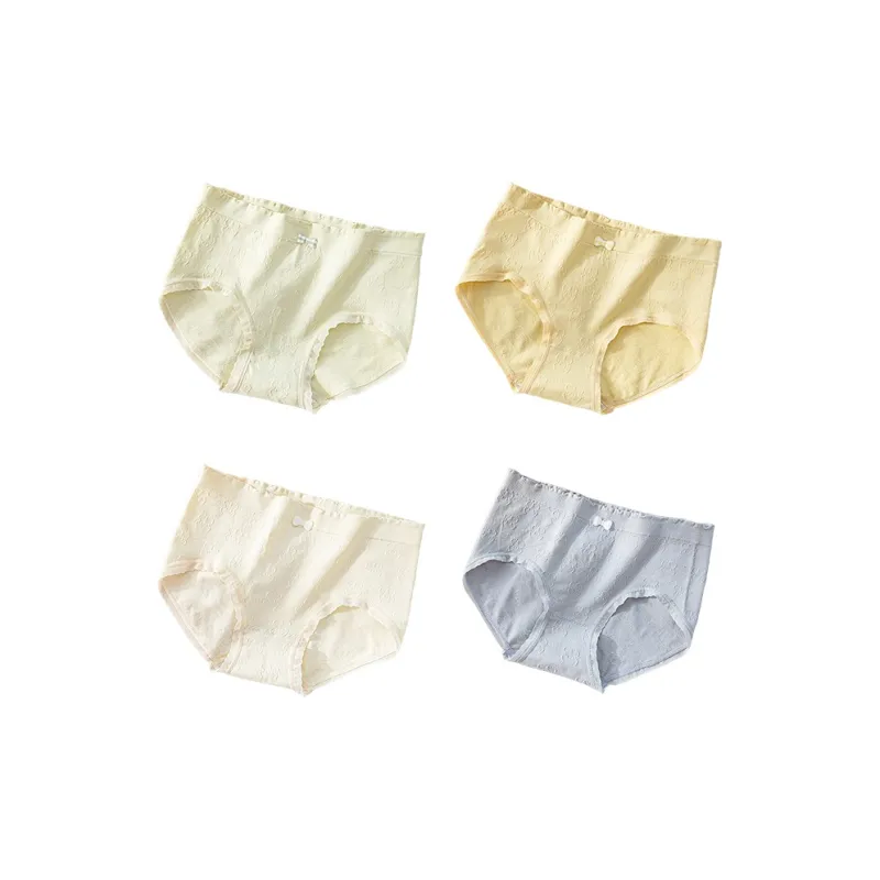 PLANDOO Underpants Women's 4 Pack-12