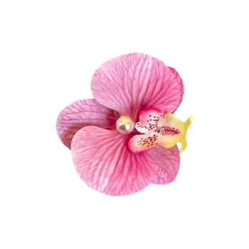 Water jade Hair Clips Women's