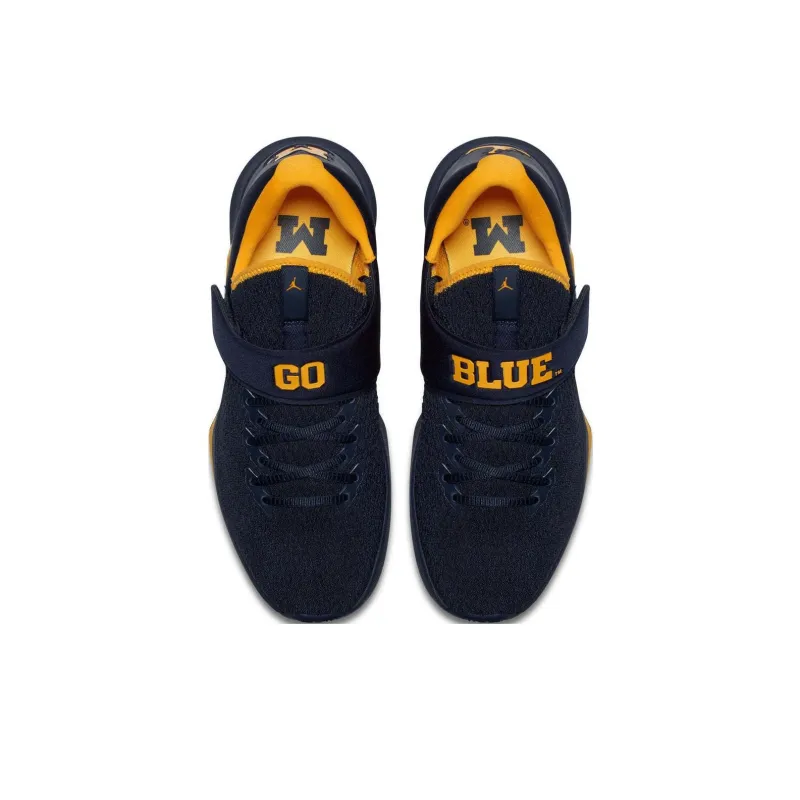 Jordan Trainer Michigan Wolverines-2
