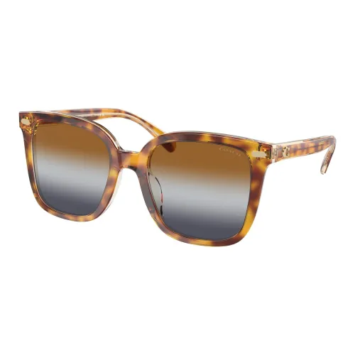 COACH Metal Plastic Square Sunglasses Women's Brown