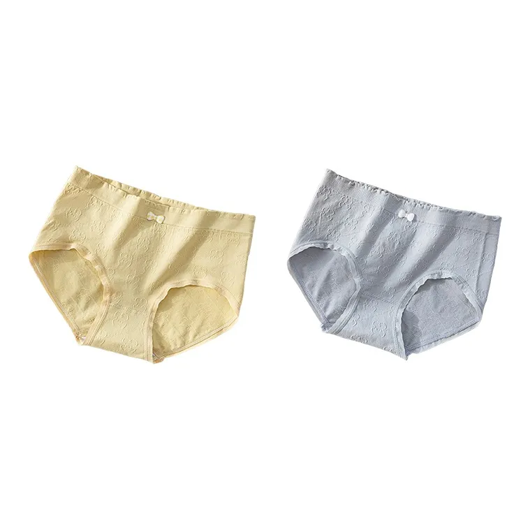 PLANDOO Underpants Women's 2 Pack-13