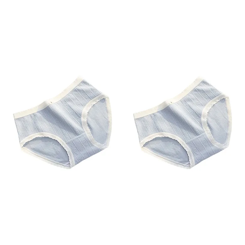 PLANDOO Underpants Women's 2 Pack-12