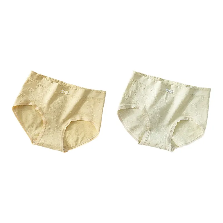 PLANDOO Underpants Women's 2 Pack-3