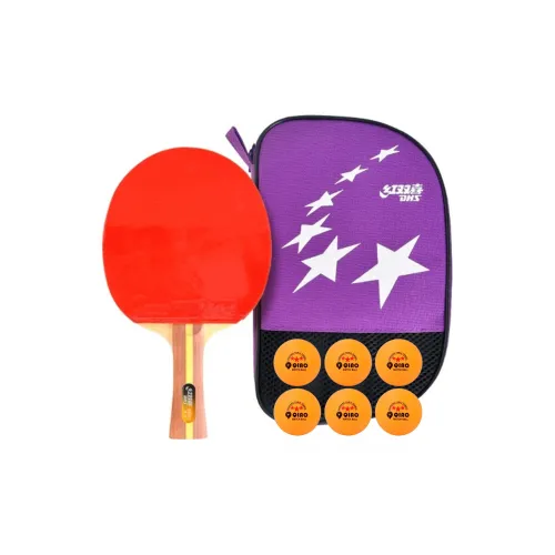 DHS Ping Pong Paddles