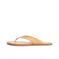 Beige Brown