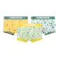 3 Pack (Yellow+Cyan+Mint Green)