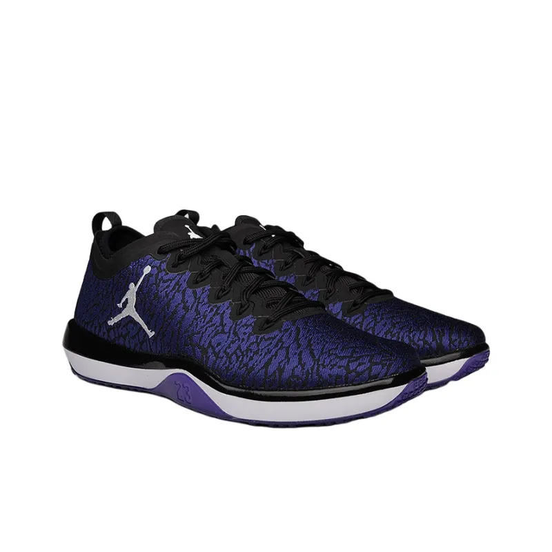 Jordan Trainer 1 Low Concord-2