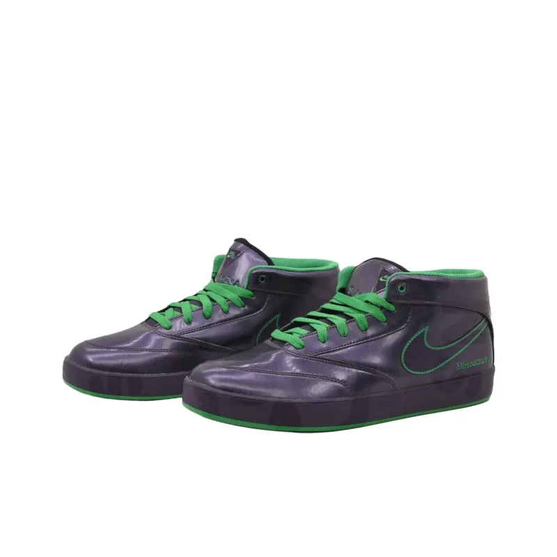 Nike Sb Zoom Omar Salazar Dinosaur Jr.-1