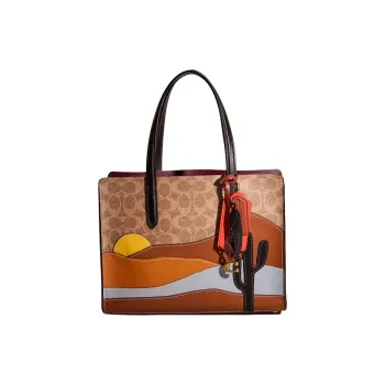COACH Carter Canvas With Calfskin Shoulder Bag Crossbody Bag Handbag Large Size Women's Brass
