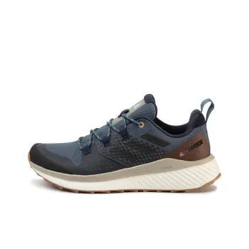 Adidas Terrex Folgian Hiker Gtx 'Grey Beige'